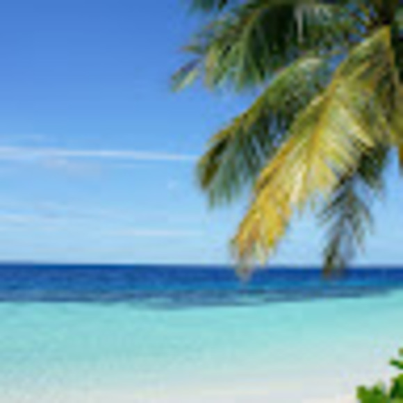 Meet your Posher, Colleen - Picture 1 of 1